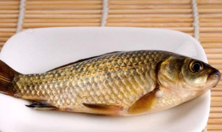 鲫鱼有什么品种（鲫鱼有什么品种图片）