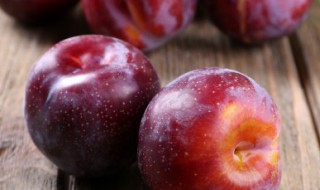 三华李的营养价值(三华李的营养价值和禁忌)