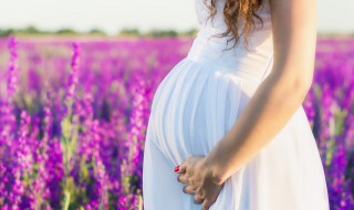 柳蒿芽孕妇能吃吗 柳蒿芽孕妇能不能吃