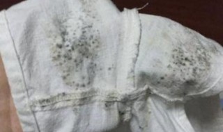 衣服发霉了如何清洗干净 衣服发霉了怎么清洗