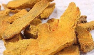 片姜黄的作用 片姜黄的作用与疗效及副作用