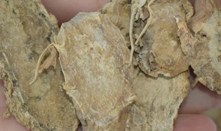 片姜黄的营养价值 片姜黄的营养价值及功效