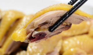 家常白切鸡摆盘技巧(家常白切鸡摆盘技巧图)