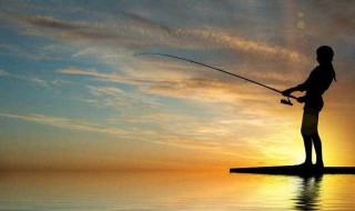 六月夜钓鲫鱼技巧 六月夜钓鲫鱼最佳时间