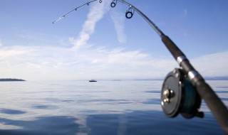 去池塘钓鱼技巧（去池塘钓鱼技巧是什么）