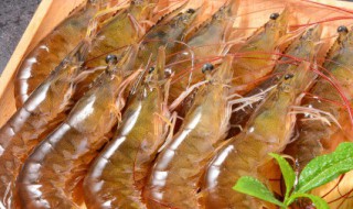 活虾怎么保存到第二天 活虾怎么保存到第二天中午吃
