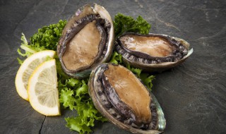 干鲍鱼怎么保存（干鲍鱼怎么保存需要放冰箱吗）