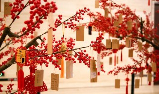 新年愿望树制作方法 新年愿望树制作方法图片