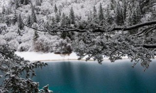 冬天景色描写句子 冬天景色描写句子一年级