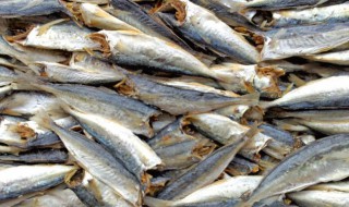 腌鱼多长时间可以晒（腌鱼多长时间晒干）