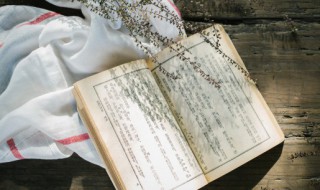 甯怎么读音 甯的读音