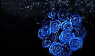 送蓝玫瑰代表什么意思 送蓝玫瑰的寓意介绍