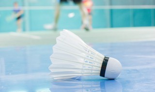 羽毛用英语怎么说 羽毛用英语的说法