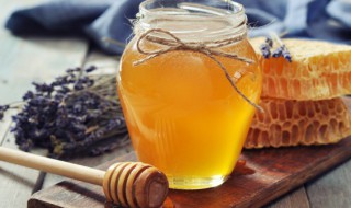 养肺的食物 养肺的食物有哪些