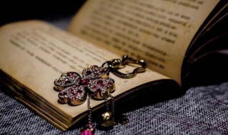 黍字怎么读 黍的意思