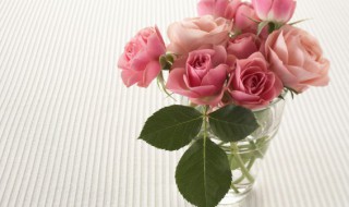 21朵粉玫瑰花语是什么意思 21朵粉玫瑰的寓意