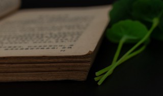 说短论长是成语吗 说短论长是什么意思