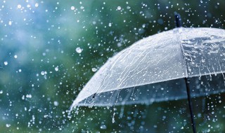 凄风苦雨是成语吗 凄风苦雨的意思