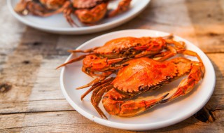 芝士焗蟹斗的做法 芝士焗蟹斗怎么做法