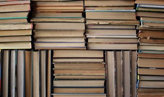 担子怎么读 担子的读音