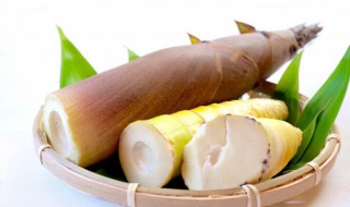 竹笋的保鲜窍门 如何保存竹笋