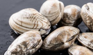 怎样让海瓜子保鲜的窍门 海瓜子保鲜的窍门