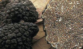 新鲜黑松露怎么吃 新鲜黑松露吃法