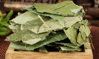 淫羊藿可以泡水喝吗 淫羊藿能直接泡水饮用的吗