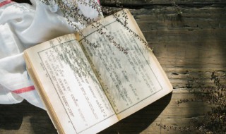 誓不罢休是成语吗 誓不罢休的解释