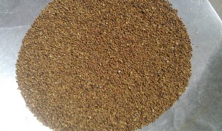 如何挑选出优质的菟丝子 怎样挑选出优质的菟丝子