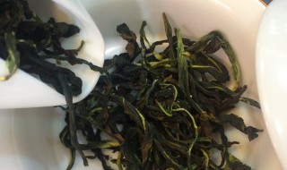 鸭屎香怎么泡 鸭屎香的泡法是什么