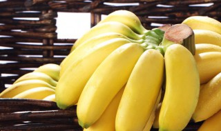帝王香蕉和普通香蕉的区别是什么 帝王香蕉和普通香蕉的区别介绍