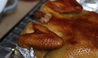 鸡的常见品种有哪些 鸡的常见品种有什么