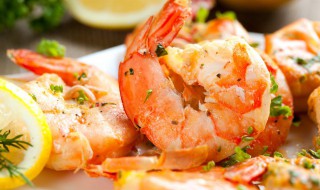 巨型淡水龙虾是什么品种 巨型淡水龙虾相关介绍