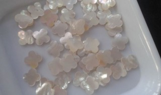 白贝母是什么 白贝母资料介绍