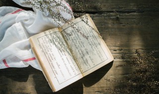 首屈一指是成语吗 首屈一指是否属于成语