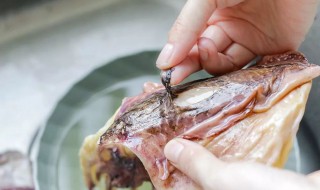 墨鱼泡发的正确方法 教你墨鱼泡发的正确方法