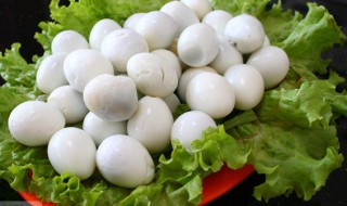 鹌鹑蛋是什么 鹌鹑蛋简介