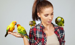 虎皮鹦鹉嘴巴长了怎么剪 虎皮鹦鹉嘴巴长了能剪掉吗