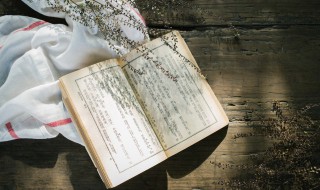 出师无名是成语吗 出师无名解释及出处介绍