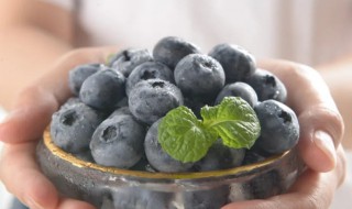 鲜蓝莓怎么吃 鲜蓝莓的吃法