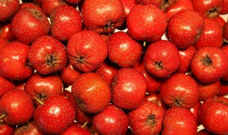 山楂的家庭储存方法 山楂的储存方法介绍