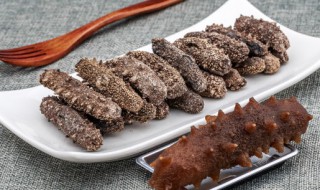 活海参的储存方法 活海参怎么储存