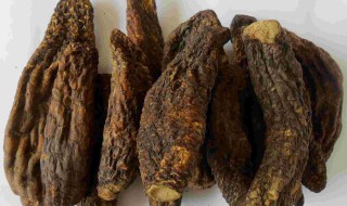 苁蓉的储存方法 苁蓉的储存方法介绍