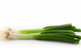 大葱冷库储存技术方法 关于大葱冷库储存技术方法