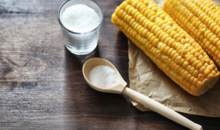 玉米种子最佳储存方法 玉米种子怎么储存