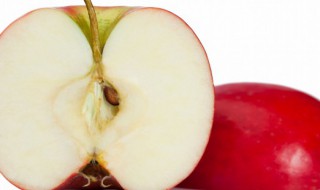 苹果冰箱储存方法 苹果冰箱储存方法是什么