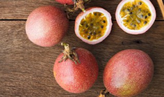 白香果的储存方法 怎样储存白香果