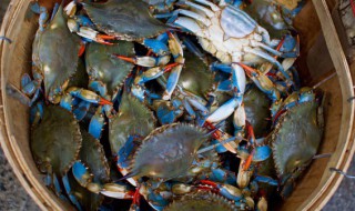 梭子蟹储存方法 梭子蟹怎么储存