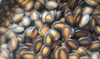 如何挑选西瓜子呢 怎样挑选西瓜子呢